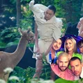 Alpakom z “Top Model” nie stała się krzywda? Ich właścicielka ma inne zdanie