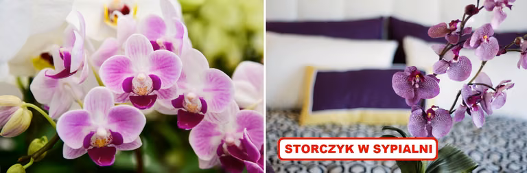 Jeżeli masz w domu STORCZYKI to wykorzystaj ten trik!
