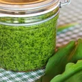 Pesto z czosnku niedźwiedziego