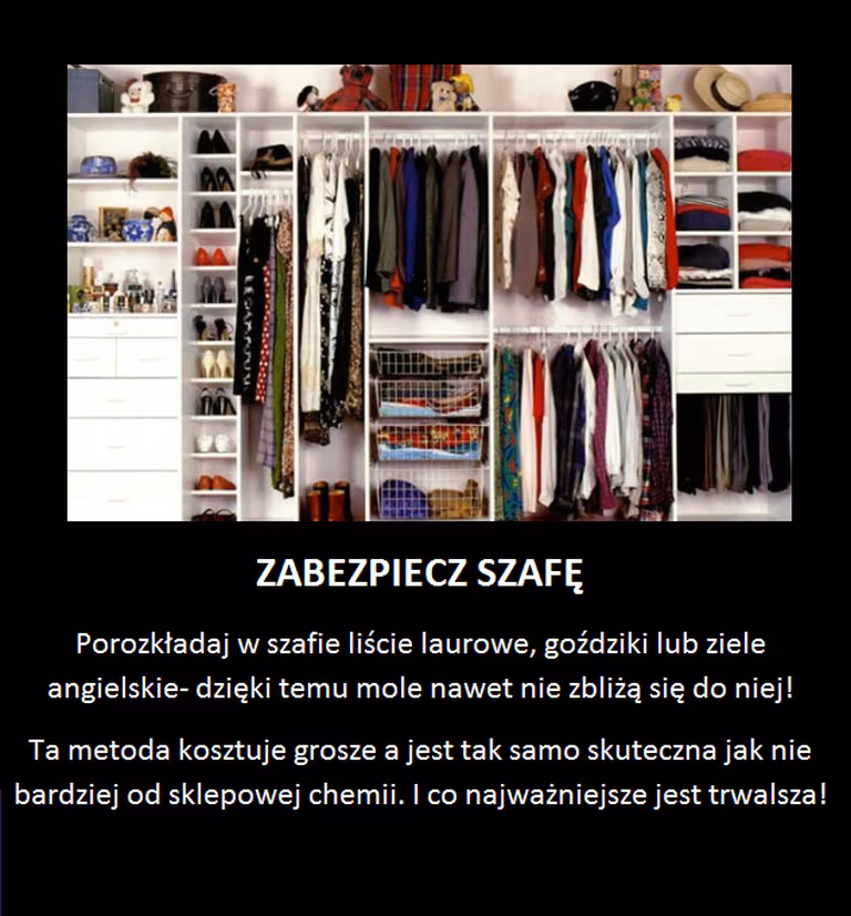Zabezpieczenie szafy przed molami