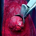 Wegańskie lody jagodowe bez cukru