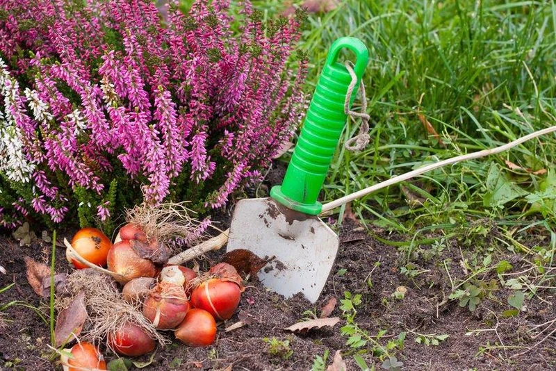 Idzie wiosna, czas iść do pracy w ogrodzie! - zainspiruj się