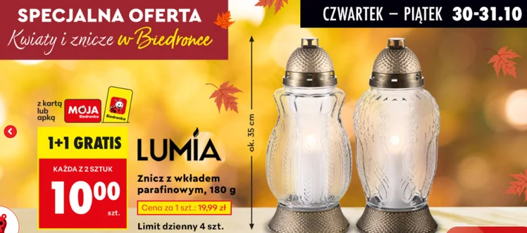Zdjęcie 2+1 na chryzantemy i 4+4 na znicze! Biedronka zaskoczyła klientów atrakcyjną ofertą na Wszystkich Świętych #3