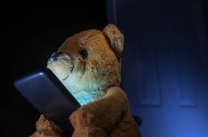 Zakaz Internetu po 22:00! Nowe prawo wprowadza rewolucje!