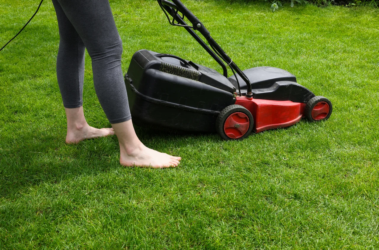 Mandat za koszenie trawy na własnej działce? W tym przypadku może obowiązywać zakaz