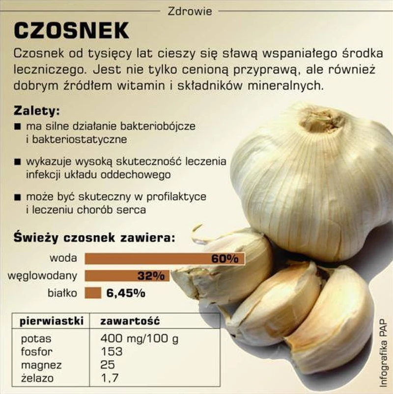 Dlaczego warto jeść czosnek?