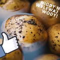 Już NIGDY nie wylejesz wody po ziemniakach. Sprawdź dlaczego!