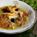 zupa grzybowa ze świeżych leśnych grzybów