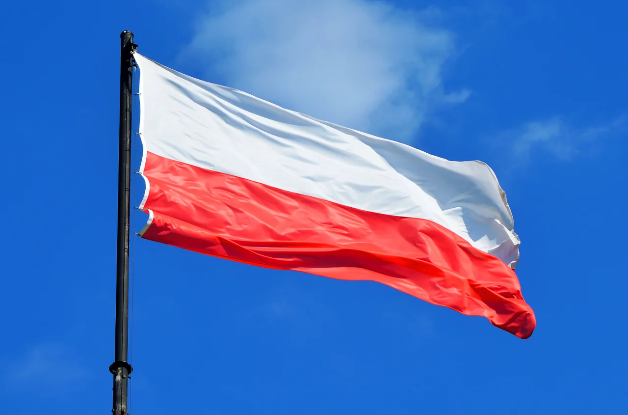 Polskie symbole narodowe do korekty? Rząd szykuje zmiany, które zauważą wszyscy!