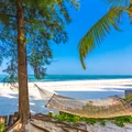 Zapraszał gwiazdy na wakacje na Zanzibar. Teraz ściga go sąd i policja! Wystawiono list gończy