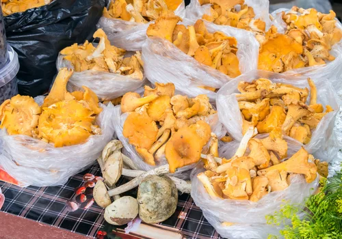 Grzyby będą traktowane jak owoce i warzywa? Ministerstwo szykuje spore zmiany dla handlarzy!