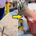 Jak szybko i sprawnie wyczyścić grób? Wystarczy jeden produkt z supermarketu!