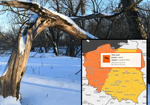 ALERT: Cała Polska na żółto lub pomarańczowo! Możliwe przerwy w dostawie prądu!