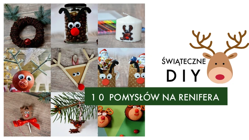 10 pomysłów na reinfera