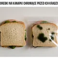 Torebki na kanapki chroniące przed ich kradzieżą