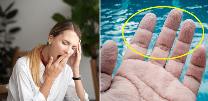 Dlaczego mamy pomarszczoną skórę po kąpieli i po co w ogóle ziewamy?