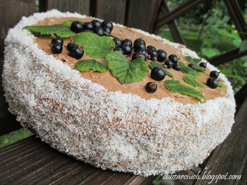 Tort porzeczkowo-kakaowy