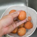 Woda po ugotowanych jajkach to nieoczekiwany bohater Twojego domu! Przeczytaj, zanim ją wylejesz!