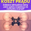 Ceny prądu w Polsce - ile kosztuje 1 kWh energii elektrycznej? | Kalkulator