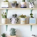 Kolorowe doniczki