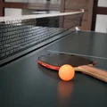 Światowy Dzień Tenisa Stołowego: Jak to Święto Kształtuje Historię i Kulturę Tenisa Stołowego