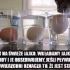 Trik na sprawdzenie świeżości jajek