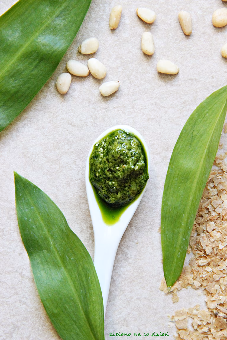 Pesto z czosnku niedźwiedziego