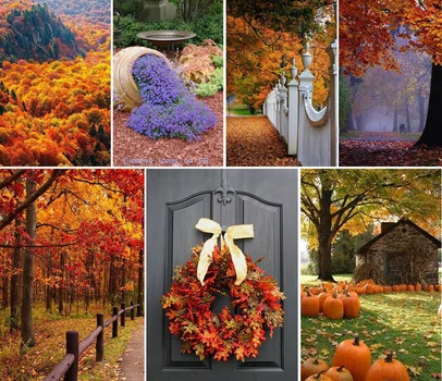 W kolorach jesieni