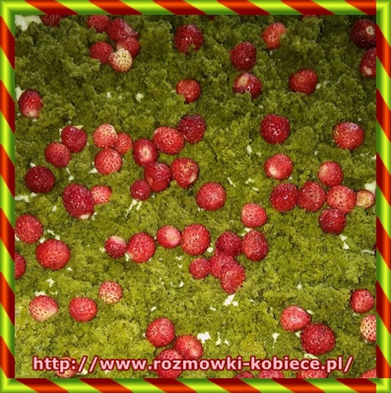 Ciasto izerska łąka