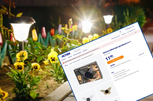 Ta lampka solarna z Action za 11 zł zrobi magię na rabacie i skalniaku! Urocze kształty, zero kabli i prądu, a ogród nabierze charakteru