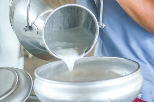 Mleko maziowe - Naturalna aspiryna na przeziębienie i grypę! Odkryj jego leczniczą moc