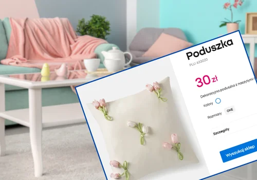 Te poduszki z Pepco za 30 zł odmienią nudną kanapę! Naszyte kwiaty 3D i pastelowe kolory to boski duet na wiosenną metamorfozę