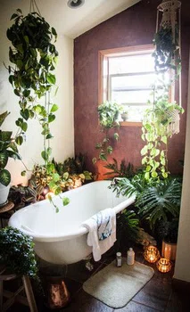 Botaniczna łazienka