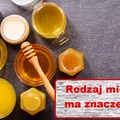 RODZAJE MIODU – jaki miód do czego?