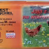 Groźna Salmonella w partii popularnych jaj – sprawdź, czy nie ma ich w Twojej kuchni