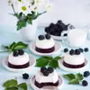 Wegańska panna cotta z jeżynami