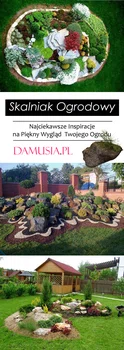 Skalniak Ogrodowy – Najciekawsze Inspiracje na Piękny Wygląd Twojego Ogrodu