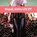 Czarny bez – roślina, która leczy (przepis na napój)