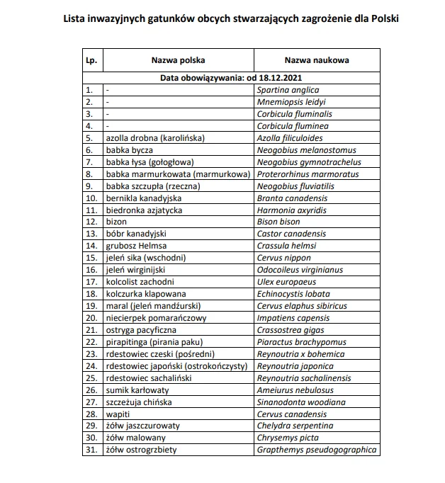 Zdjęcie Uwaga działkowcy: Te rośliny mogą zniszczyć ogród i portfel! Lista zakazanych gatunków została poszerzona #8