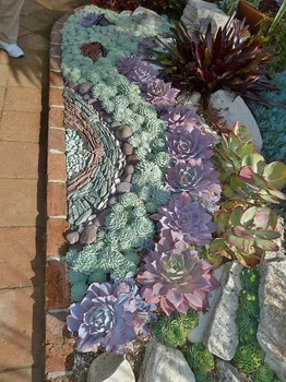 Mozaika z kwiatów