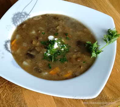 Zupa ze świeżych grzybów leśnych