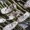 Szparagi zapiekane pod mozzarellą