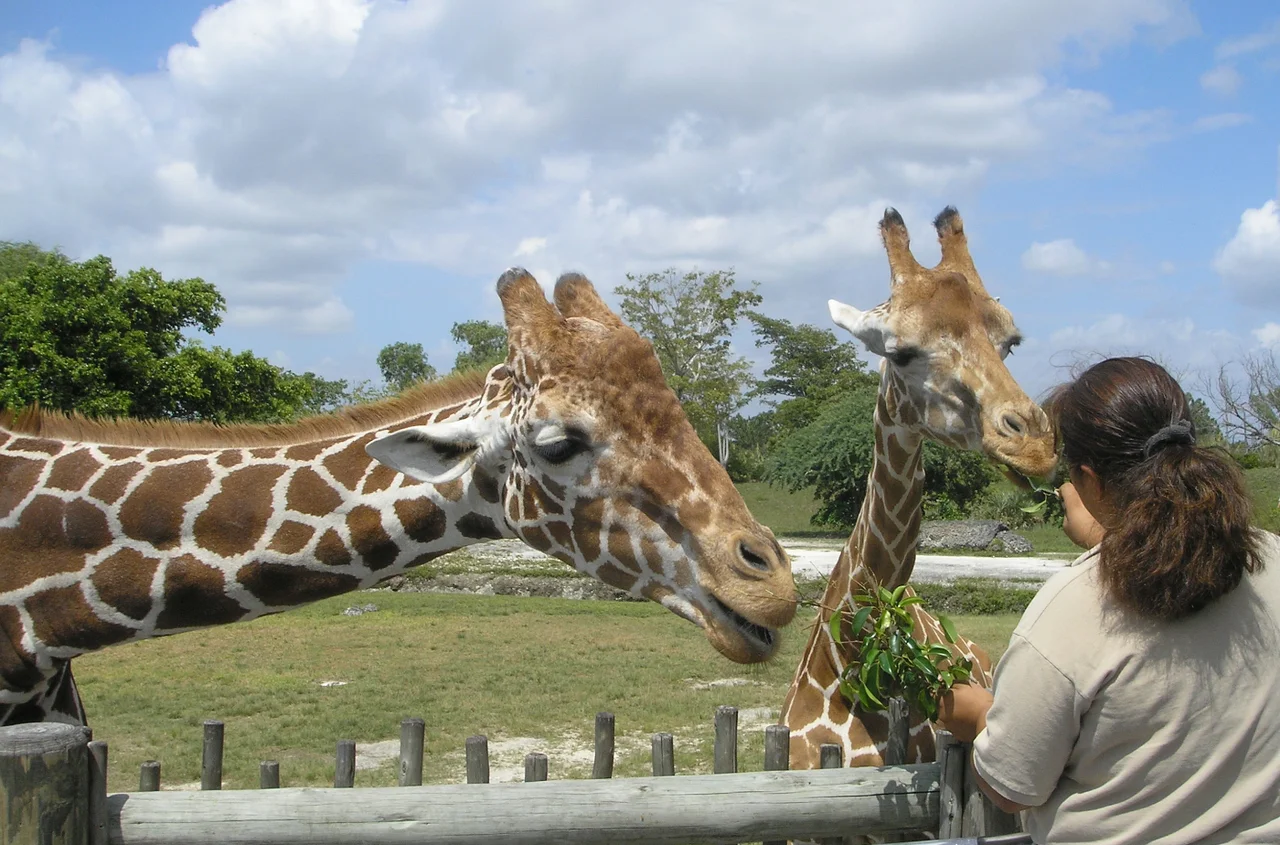 Dzień Miłośników Zoo: Święto Miłośników Zwierząt i Edukacji Ekologicznej