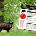 Pracownicy parku narodowego ostrzegają przed groźnym wirusem! Rozprzestrzenia się w zastraszającym tempie!
