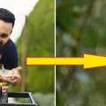 GRILL lepszy niż u sąsiada - sprawdź najlepsze porady!