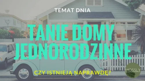 Czy domy jednorodzinne za 50 tysięcy za sztukę już niedługo zmienią nasz świat?