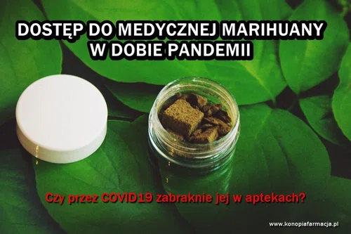 Dostęp do medycznej marihuany w dobie pandemii . Czy przez COVID-19 zabraknie jej w aptekach ?