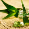 Aloes w doniczce - genialny lek na problemy skórne!