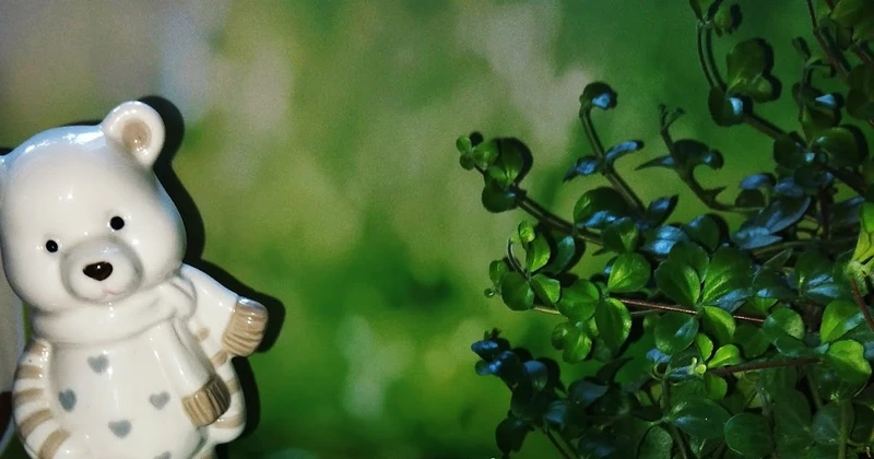 KOTLETY Z KASZANKI Z PODSMAŻONĄ CEBULKĄ