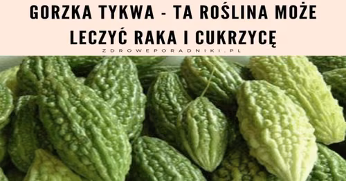 Gorzka tykwa – ta roślina może leczyć raka i cukrzycę